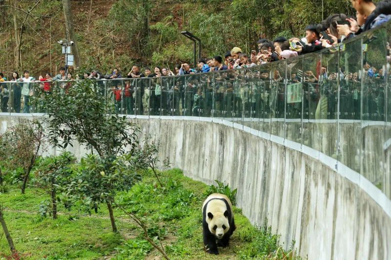 成都极地海洋世界票价