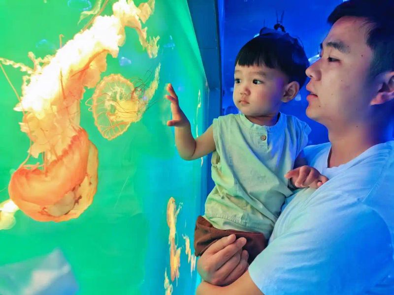 成都极地海洋世界票价