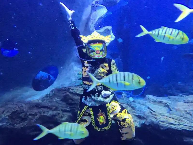 成都极地海洋世界票价