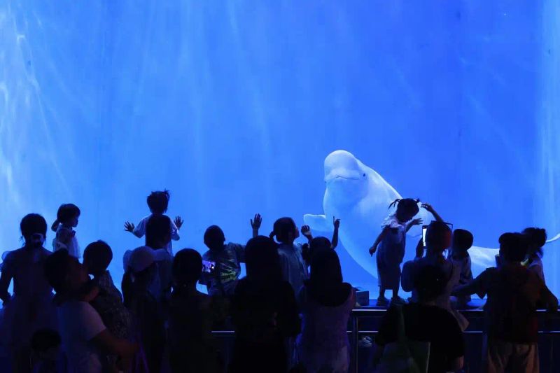 成都极地海洋世界票价