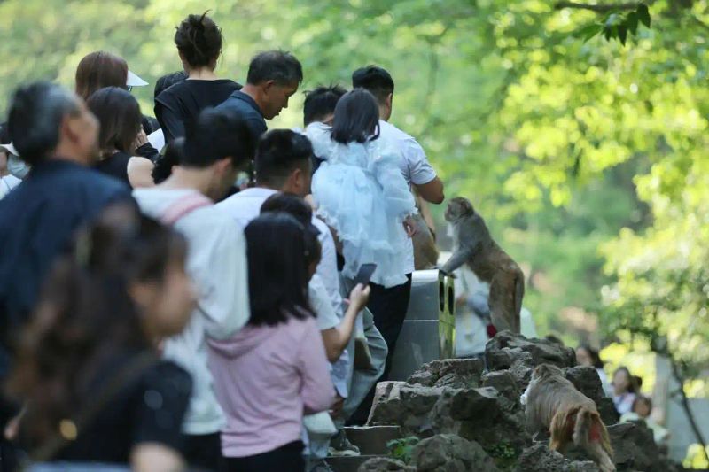 成都极地海洋世界票价