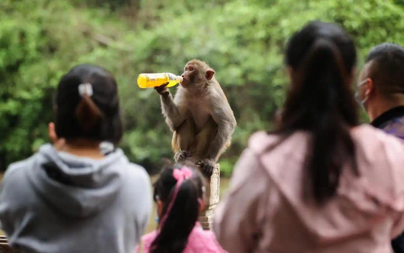 成都极地海洋世界票价