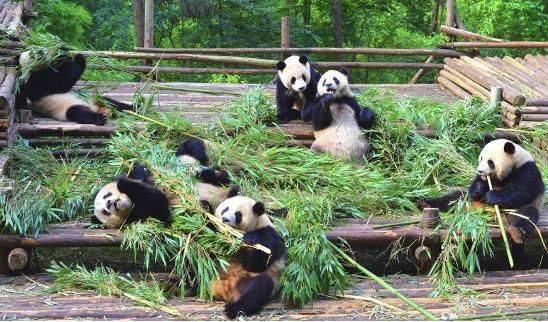 成都极地海洋世界票价