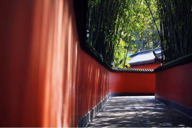 成都极地海洋世界票价