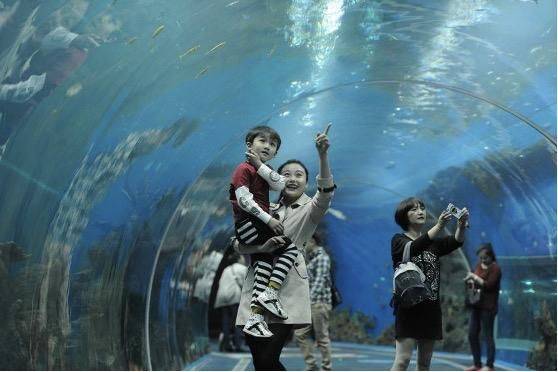 成都极地海洋世界票价