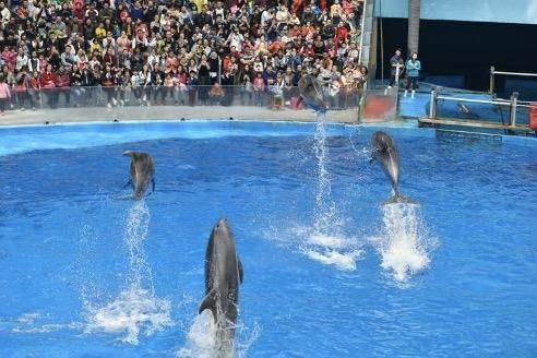 成都极地海洋世界票价