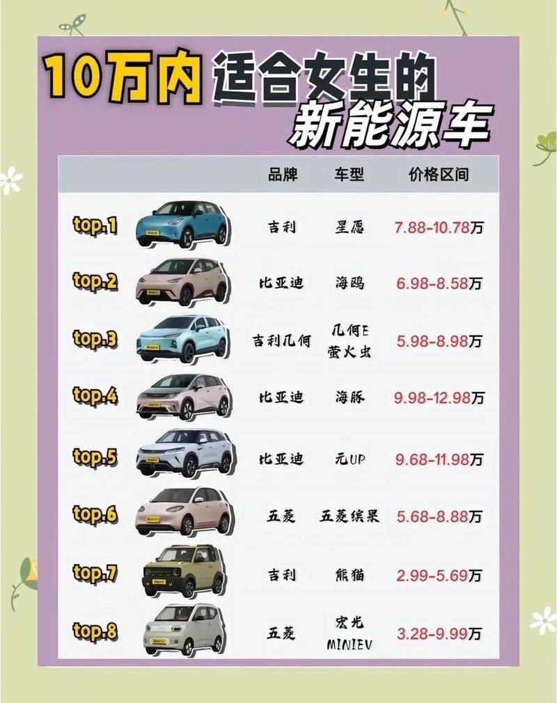 Biadi electric car maintenance manual