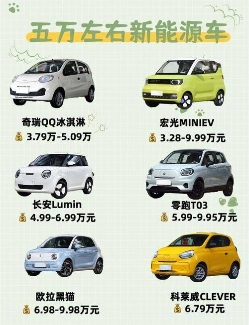 Biadi electric car maintenance manual