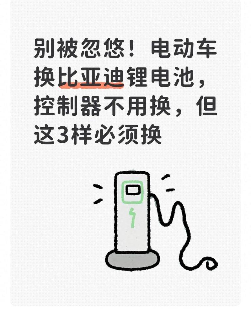 Biadi electric car maintenance manual