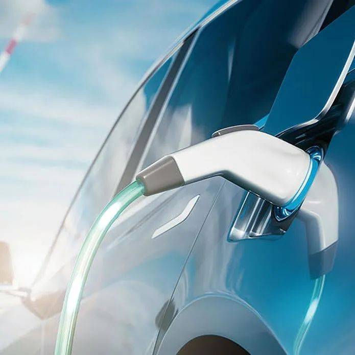 Biadi electric car maintenance manual