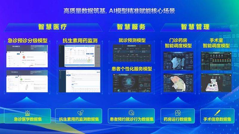 It knowledge systems