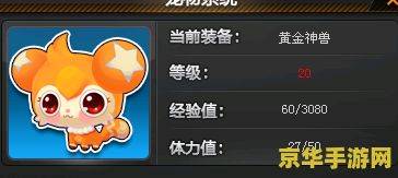 Did you add qq-car pet experience