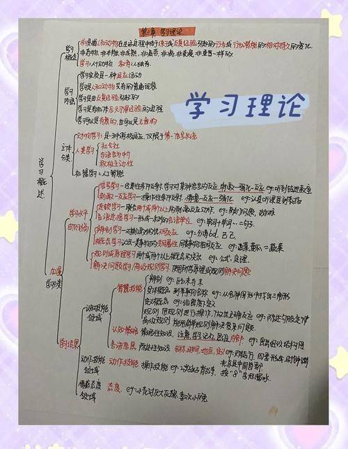 Intellectual property culture