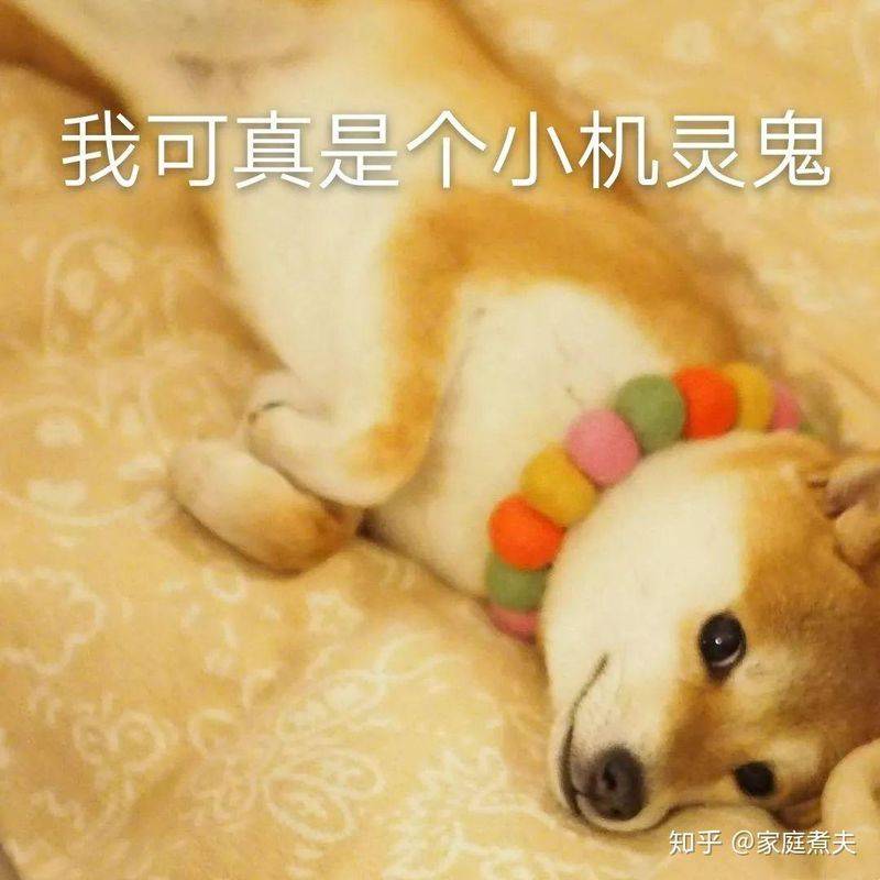 Refrigerator freezer maintenance