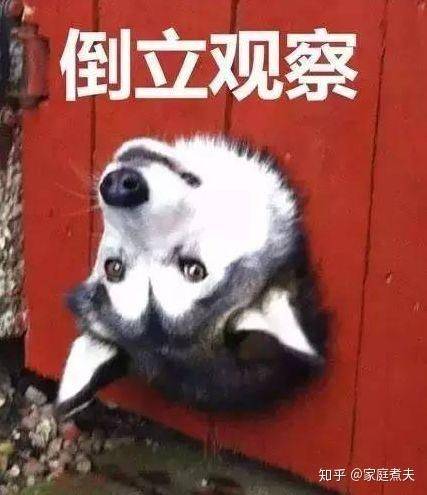 Refrigerator freezer maintenance