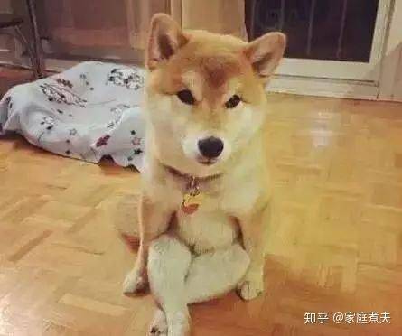 Refrigerator freezer maintenance