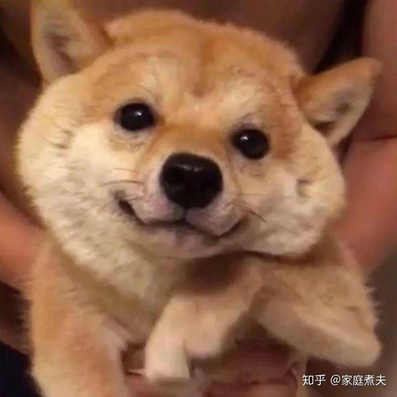 Refrigerator freezer maintenance