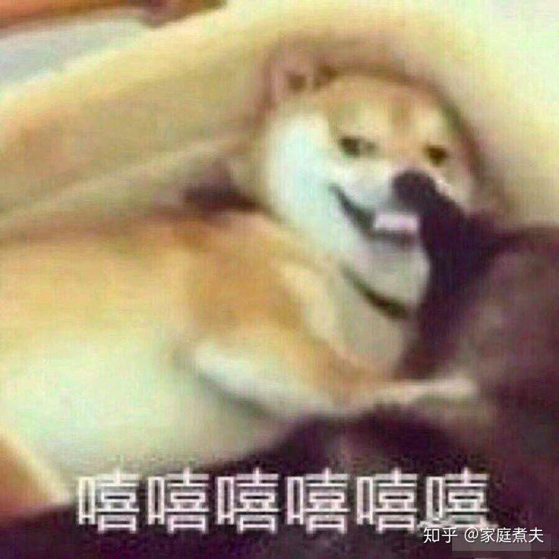 Refrigerator freezer maintenance