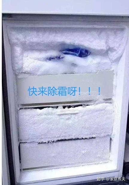 Refrigerator freezer maintenance