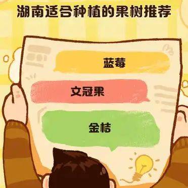 湖南适合种植什么水果