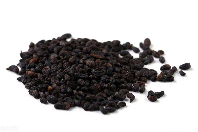 五味子种植技术视频