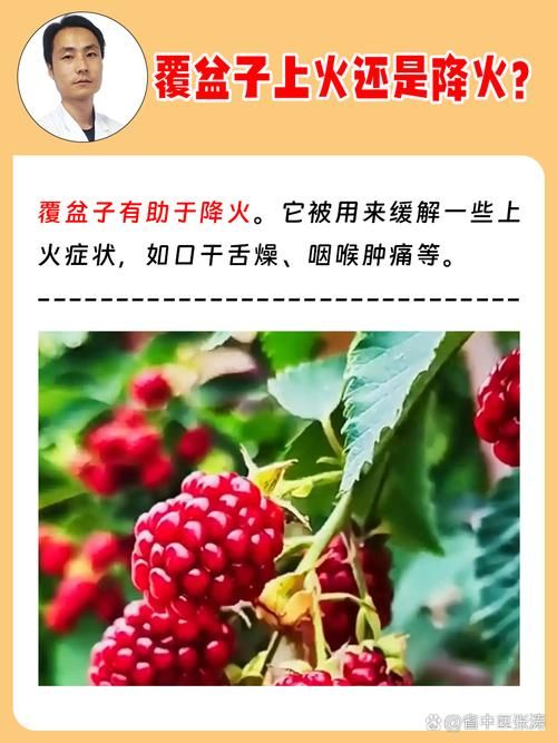 覆盆子种植技术