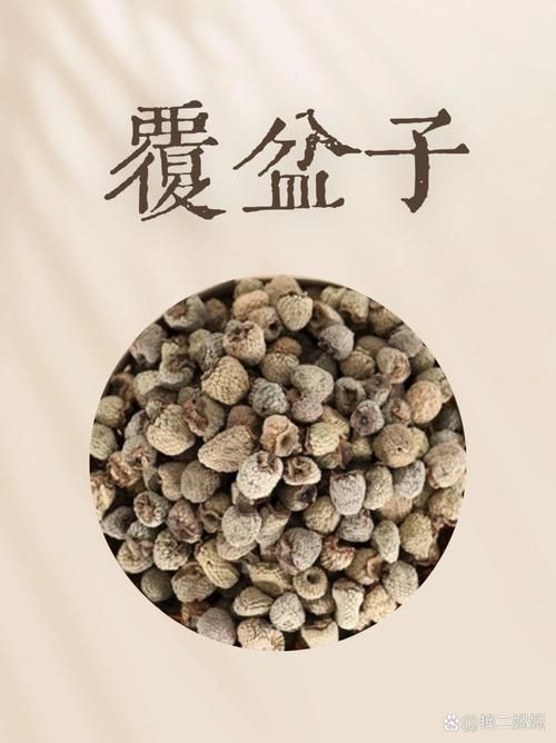 覆盆子种植技术