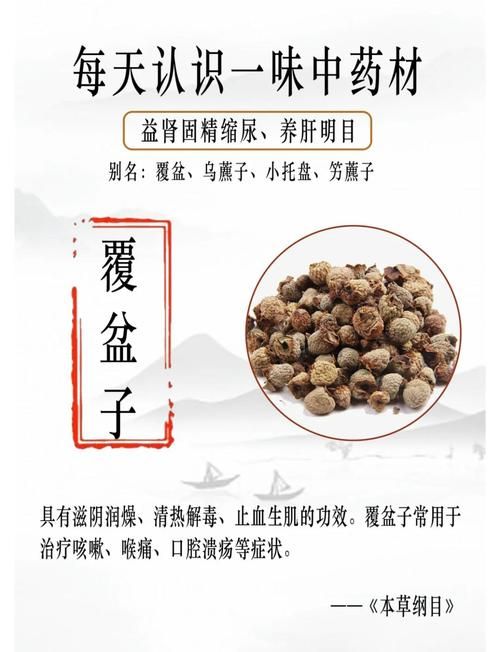 覆盆子种植技术