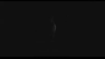 Tianjin precious metal exchange situation analysis software