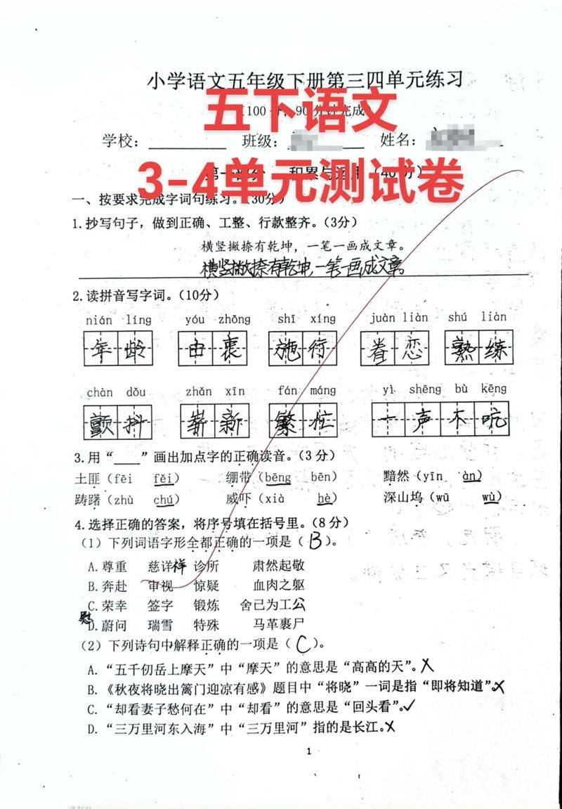 Test of a language skills competition for the fifth grade of primary school