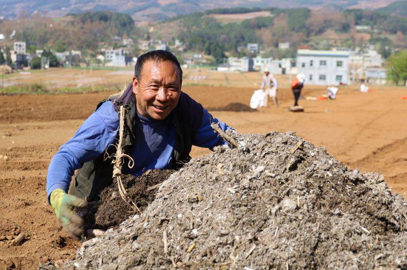 Potato double-crotch cultivation technology