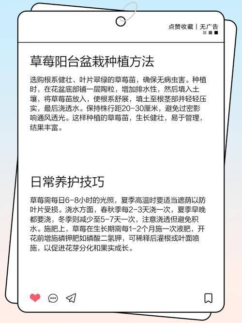 阳台草莓的种植方法