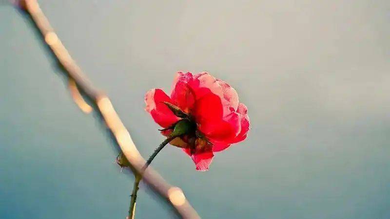 All ways to make money