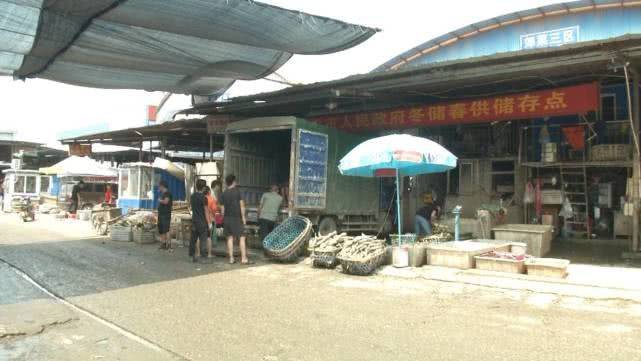 莲藕怎样种植技术