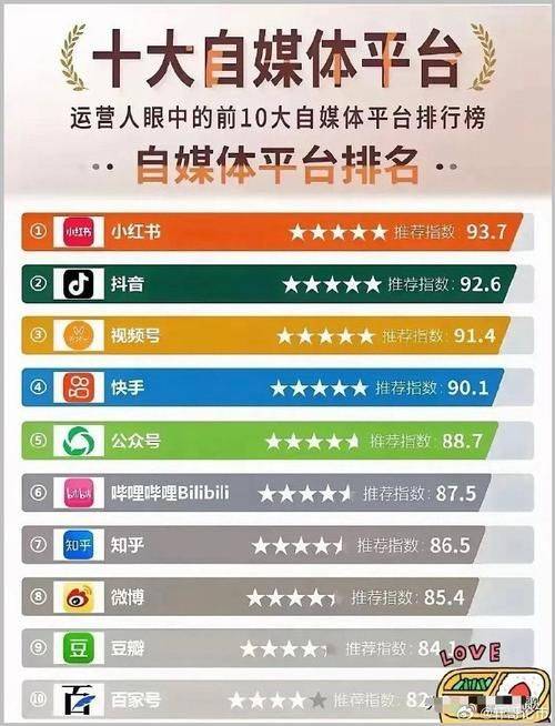 中国最大视频网站排名