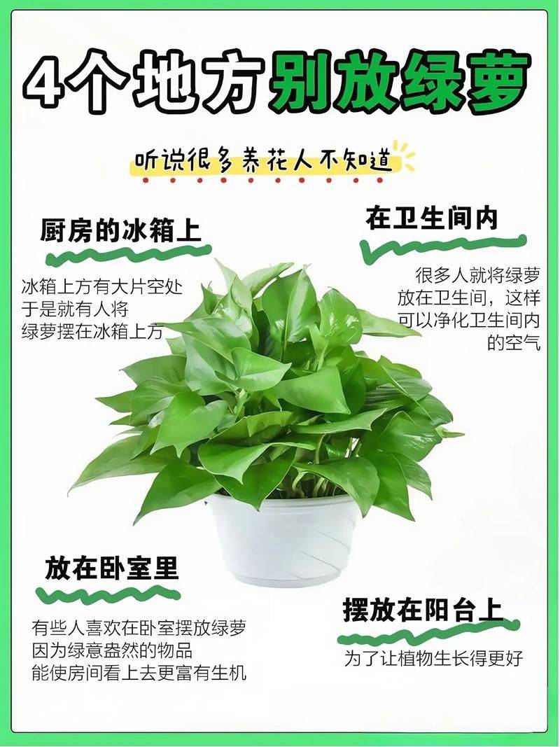 Methodologies and care for leeching