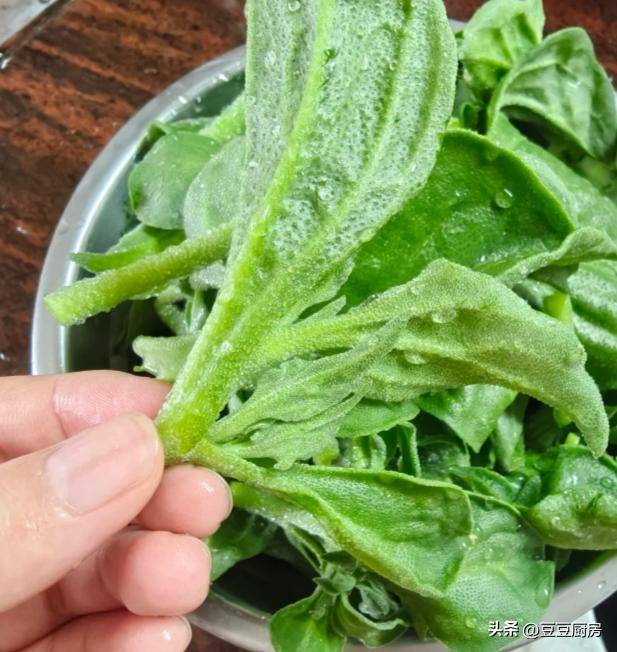 四棱豆的种植技术