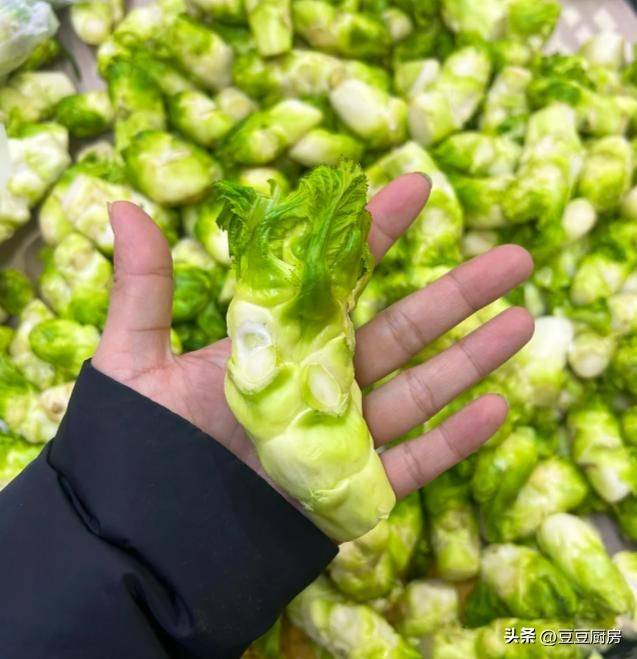 四棱豆的种植技术