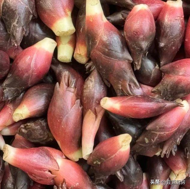 四棱豆的种植技术