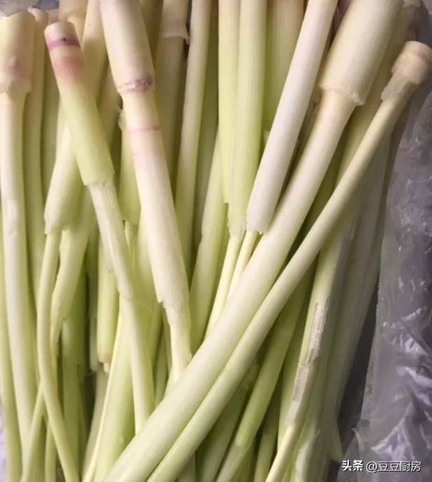 四棱豆的种植技术