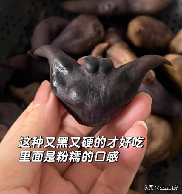 四棱豆的种植技术