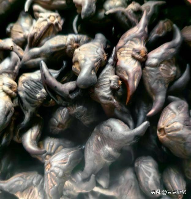 四棱豆的种植技术