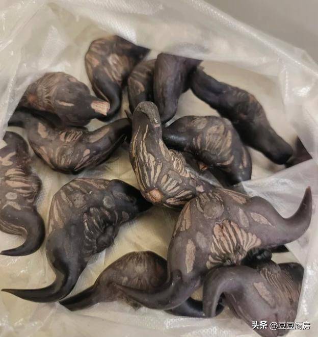 四棱豆的种植技术