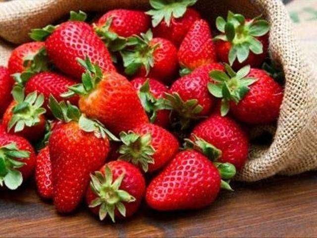 Strawberry cultivation on the balcony
