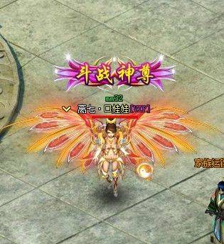 Warlord, experience