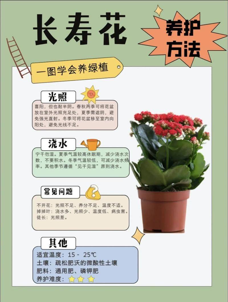 Methodologies and care for leeching