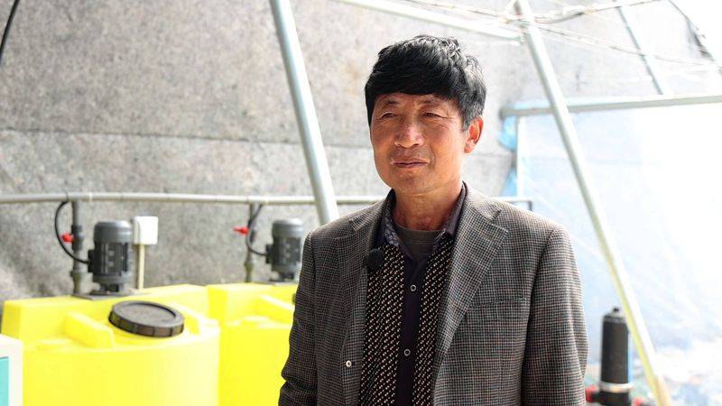 Technology for fifth-colour tomato cultivation