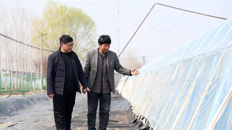 Technology for fifth-colour tomato cultivation