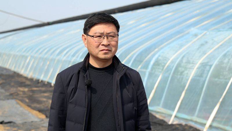 Technology for fifth-colour tomato cultivation