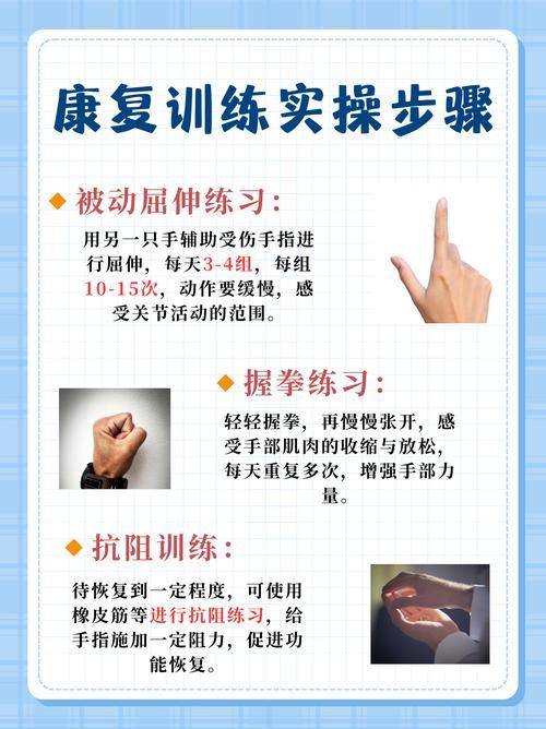 解剖学重点知识归纳